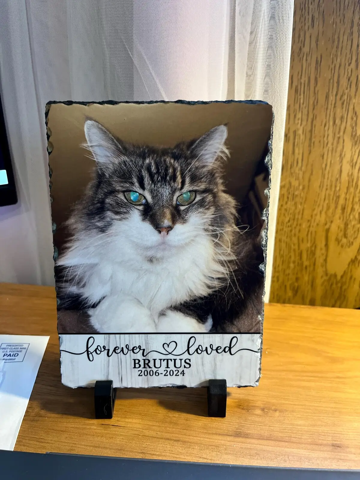 Customer photo from Mirana StMichael
