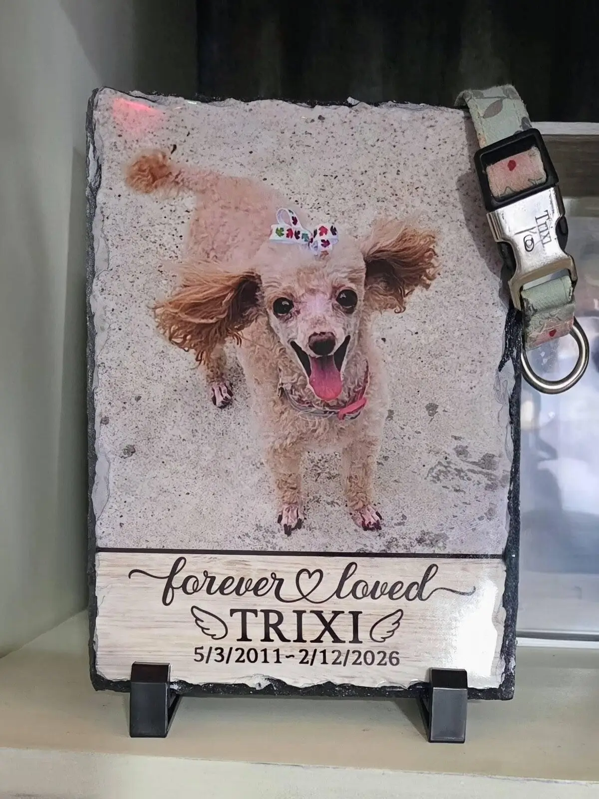 Customer photo from Amy Logan