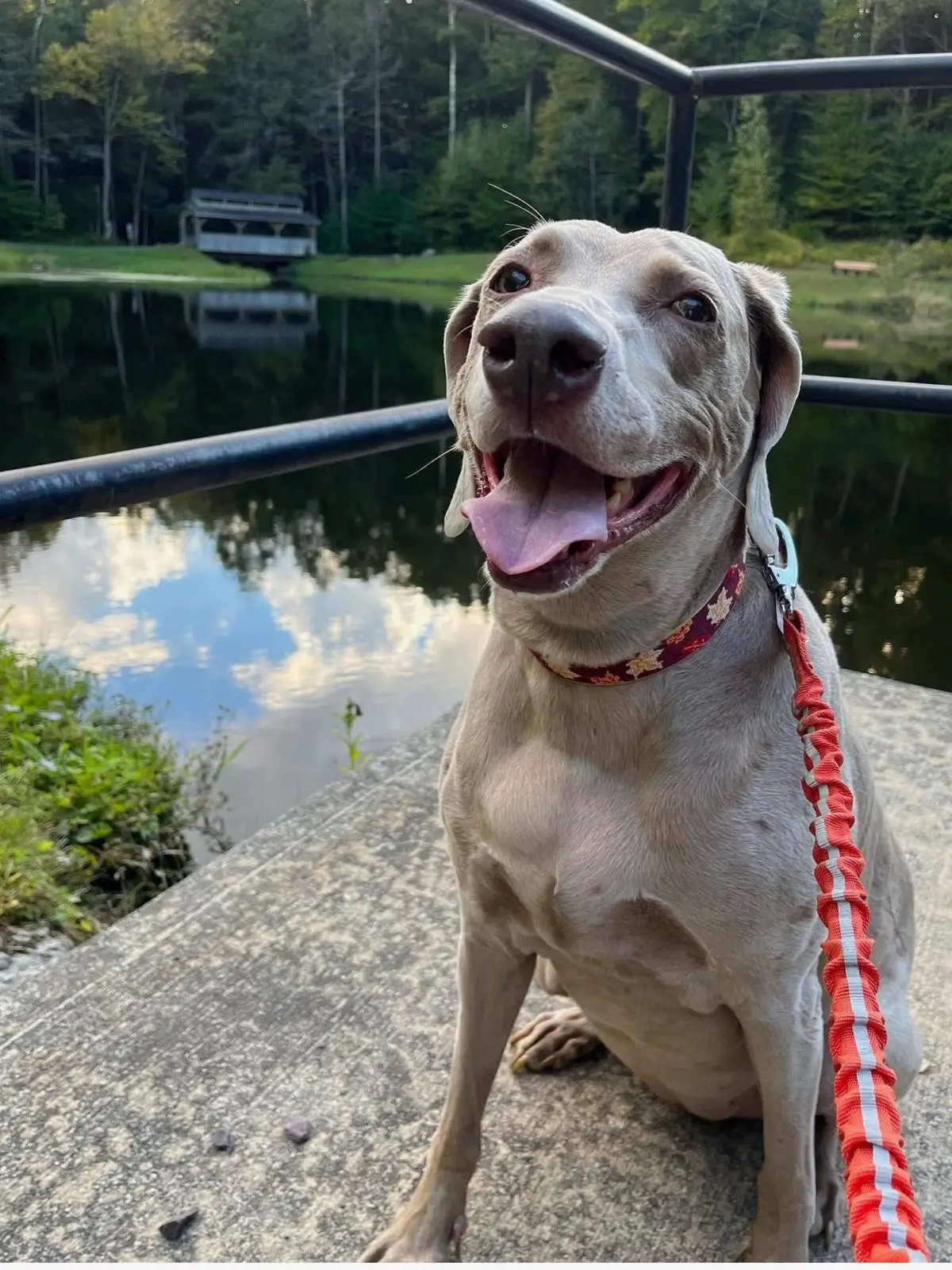 Customer photo from Joelle .N