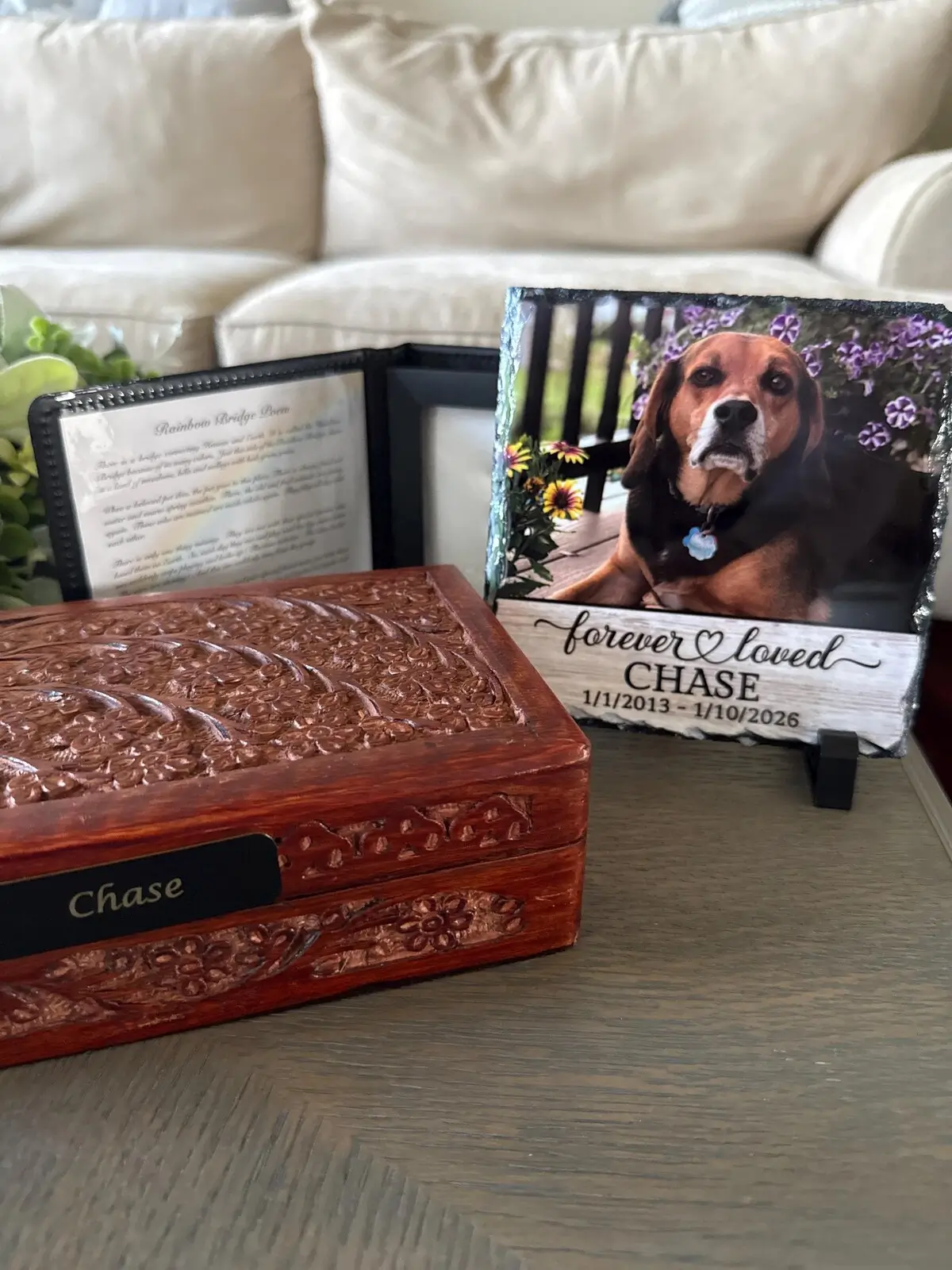 Customer photo from Aurelie F.